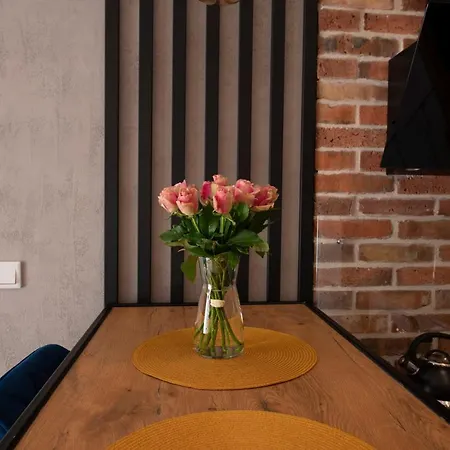 Apartament Rakowicka Apartment Krakow