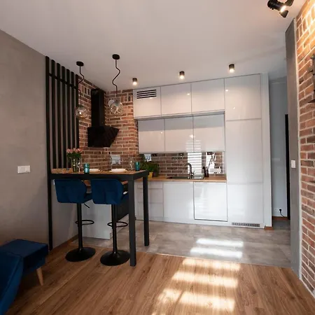 Apartament Rakowicka Apartment Krakow